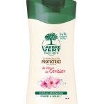 Douche fleur cerisier arbre vert